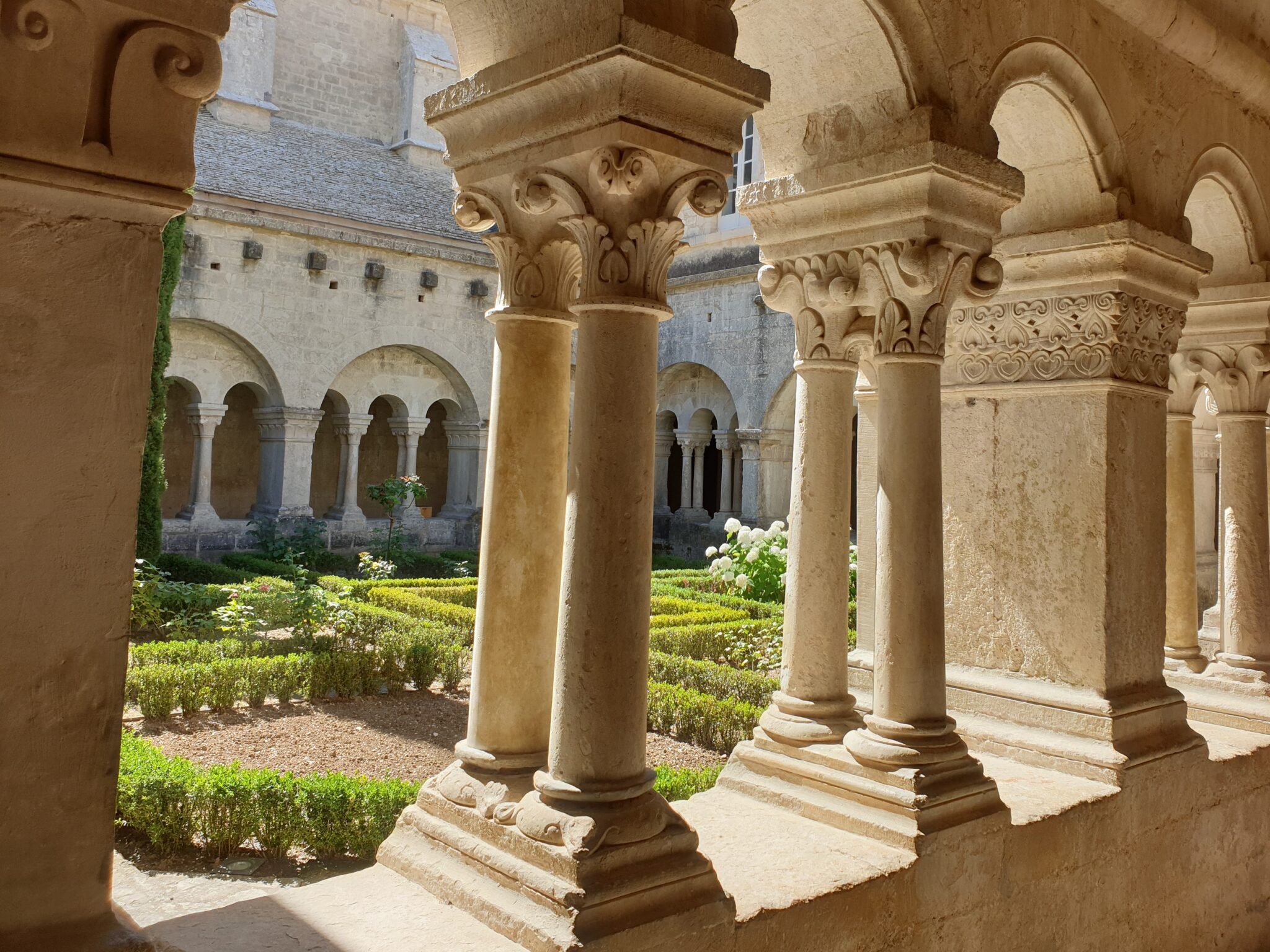 Abbaye de Sénanque 2 (2)